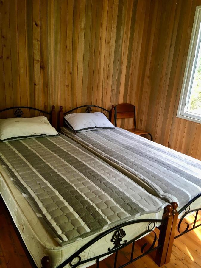 House In Gonio-Kvariati Economy Class 외부 사진